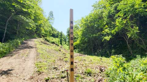 笑顔の森 植樹祭